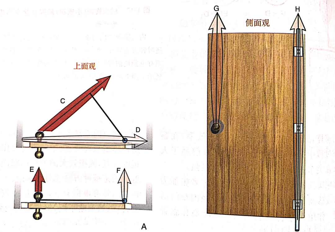 肌动学—-关节运动的力(图4)